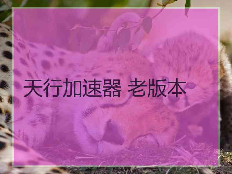 天行加速器 老版本