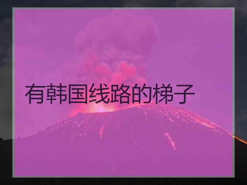 有韩国线路的梯子