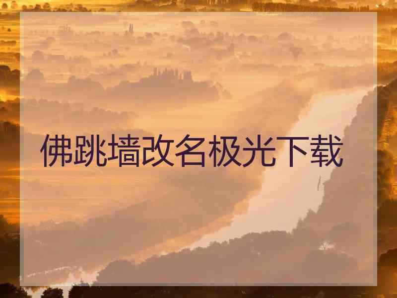 佛跳墙改名极光下载