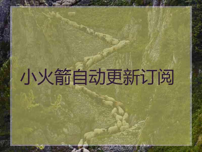小火箭自动更新订阅
