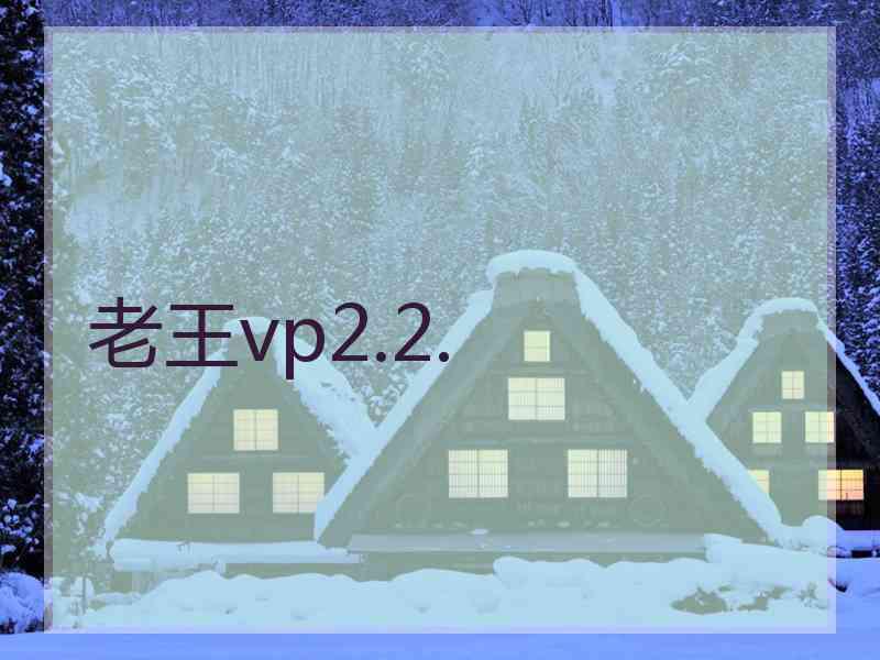 老王vp2.2.