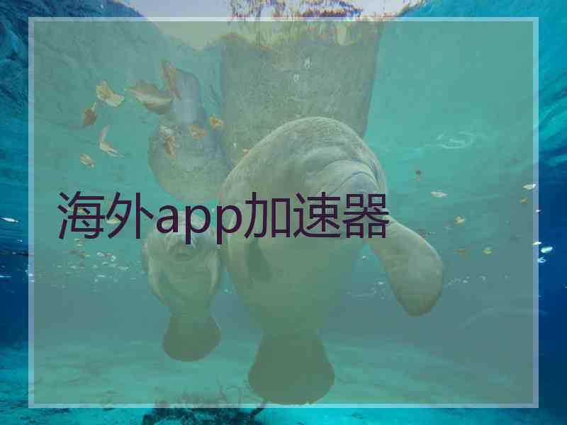 海外app加速器