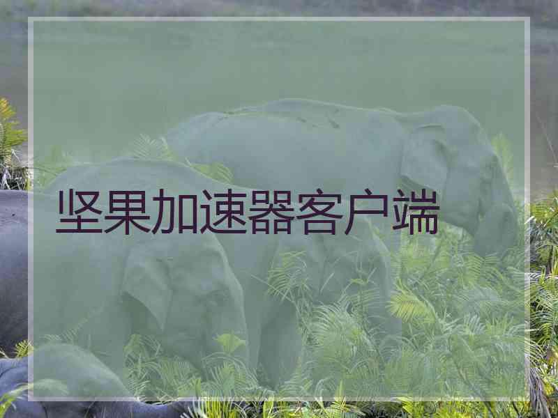坚果加速器客户端