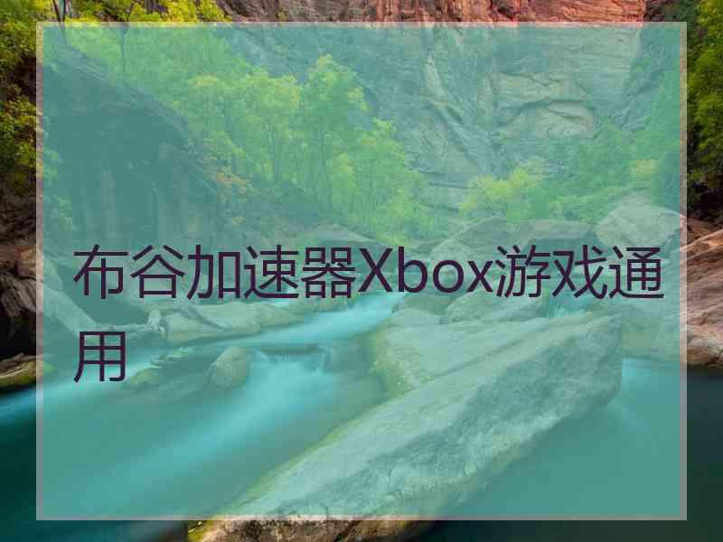 布谷加速器Xbox游戏通用