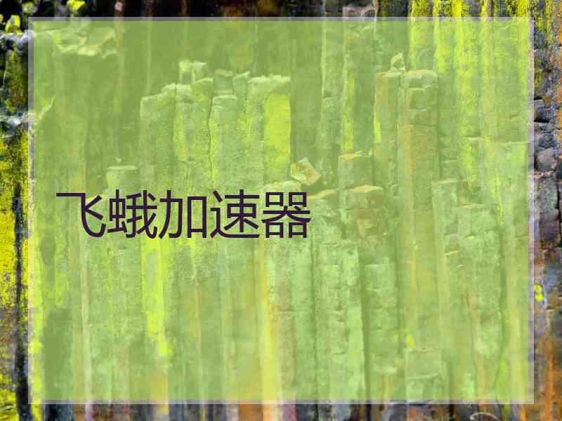 飞蛾加速器