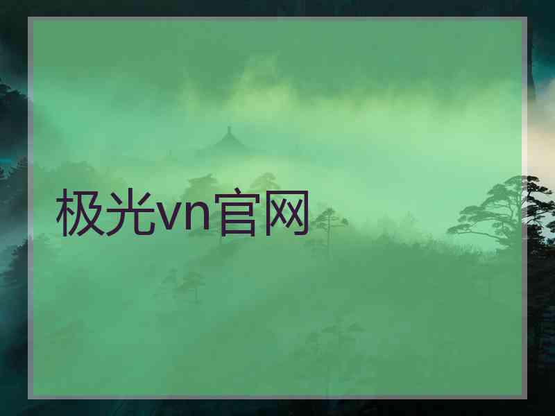 极光vn官网