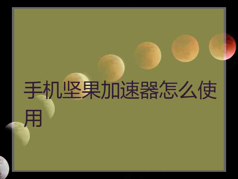 手机坚果加速器怎么使用