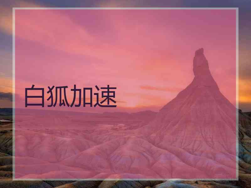 白狐加速