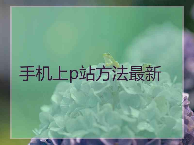 手机上p站方法最新