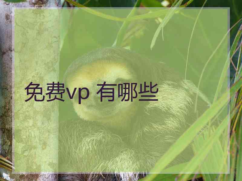 免费vp 有哪些