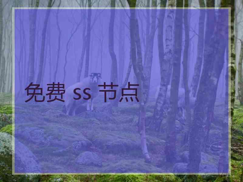 免费 ss 节点