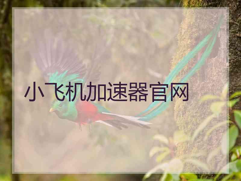 小飞机加速器官网
