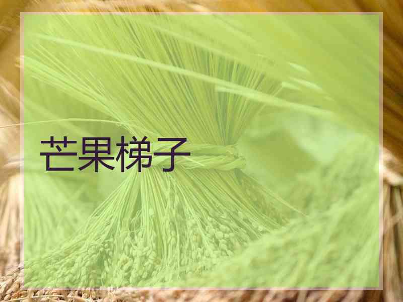 芒果梯子