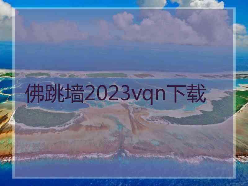 佛跳墙2023vqn下载