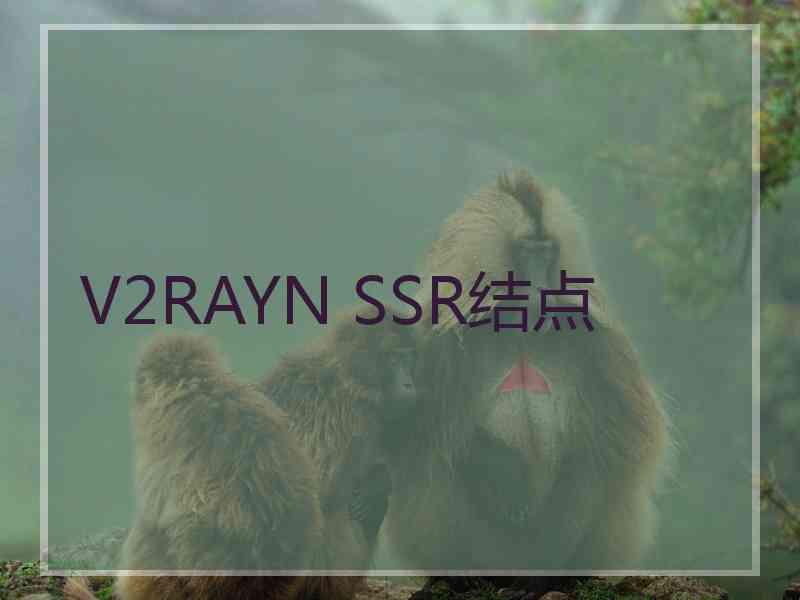 V2RAYN SSR结点