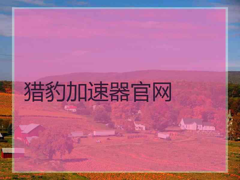 猎豹加速器官网