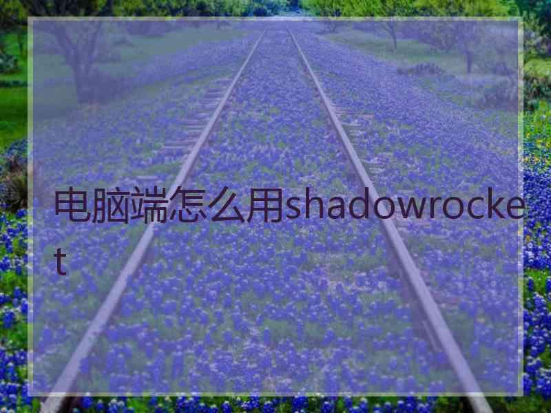 电脑端怎么用shadowrocket
