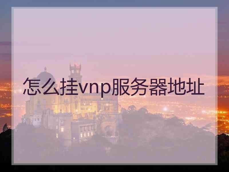 怎么挂vnp服务器地址