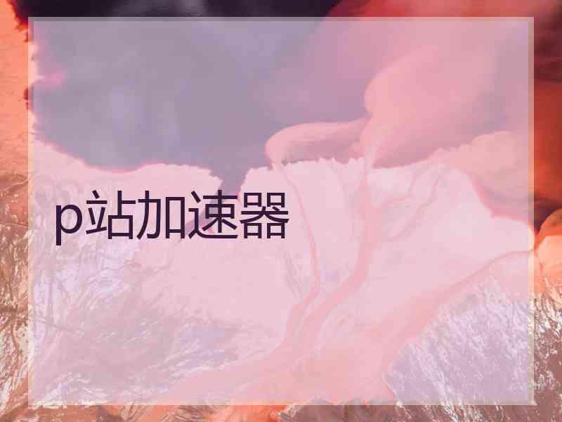 p站加速器