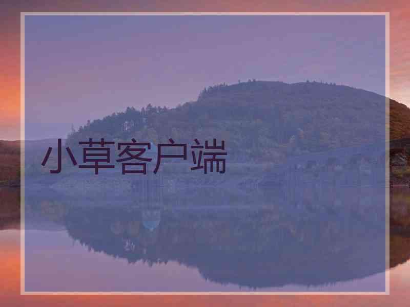 小草客户端