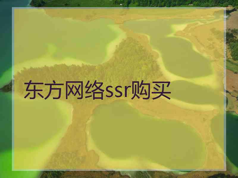 东方网络ssr购买