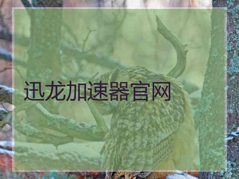 迅龙加速器官网