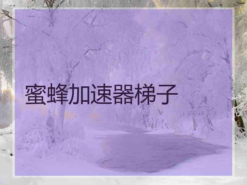 蜜蜂加速器梯子