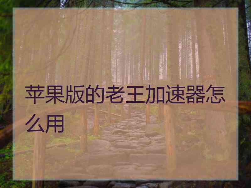 苹果版的老王加速器怎么用