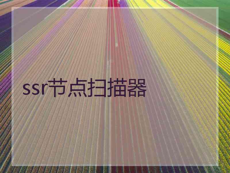 ssr节点扫描器