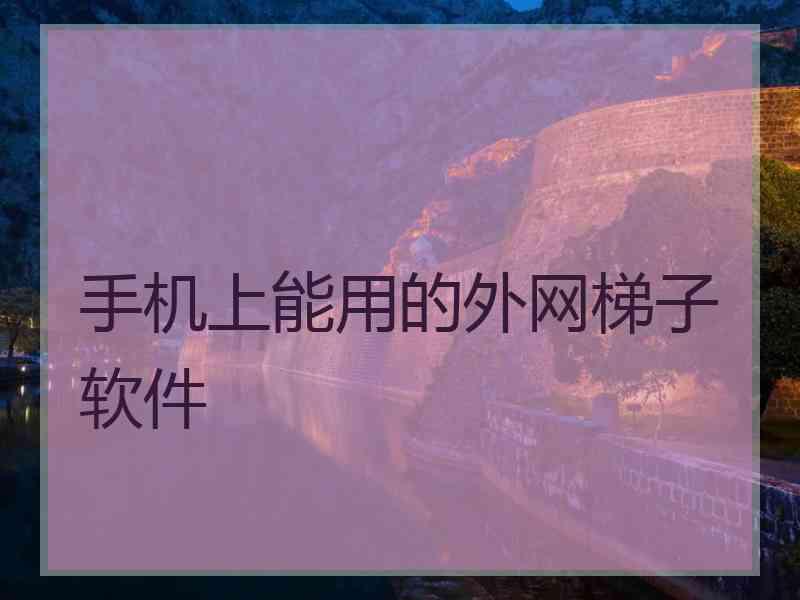 手机上能用的外网梯子软件
