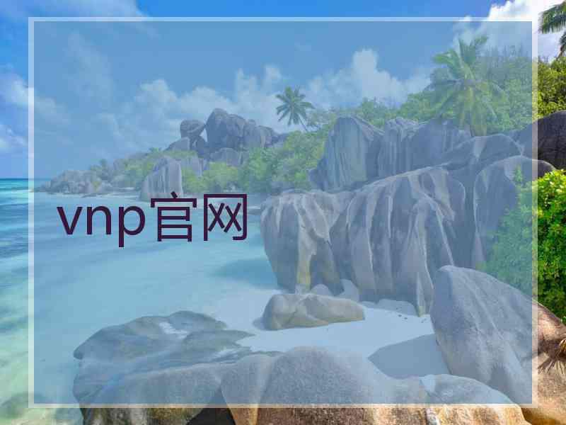 vnp官网