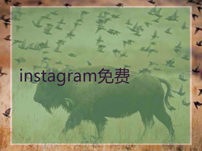 instagram免费