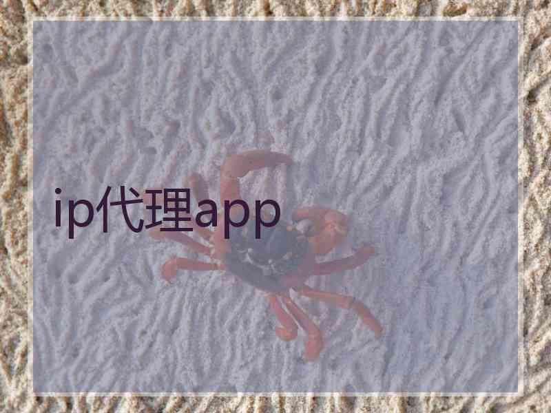 ip代理app