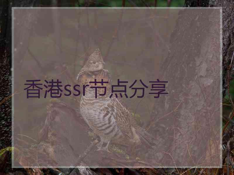 香港ssr节点分享