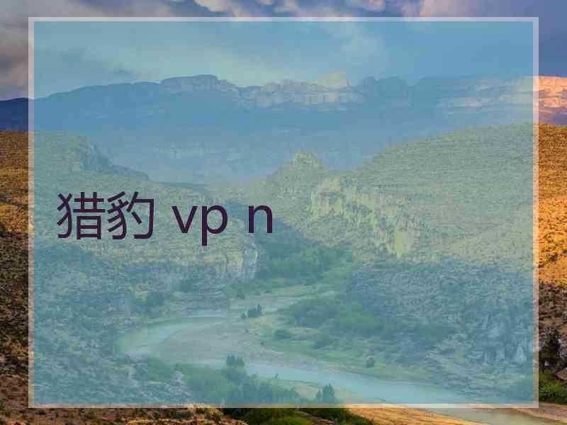 猎豹 vp n