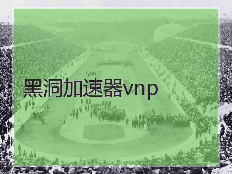 黑洞加速器vnp