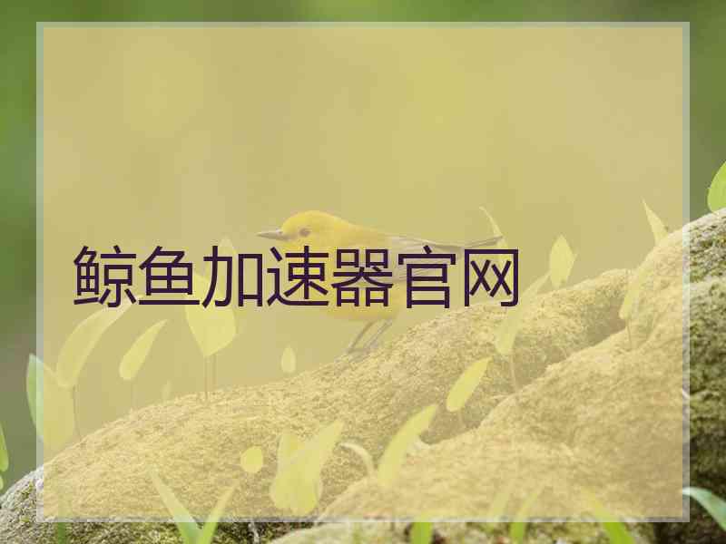 鲸鱼加速器官网