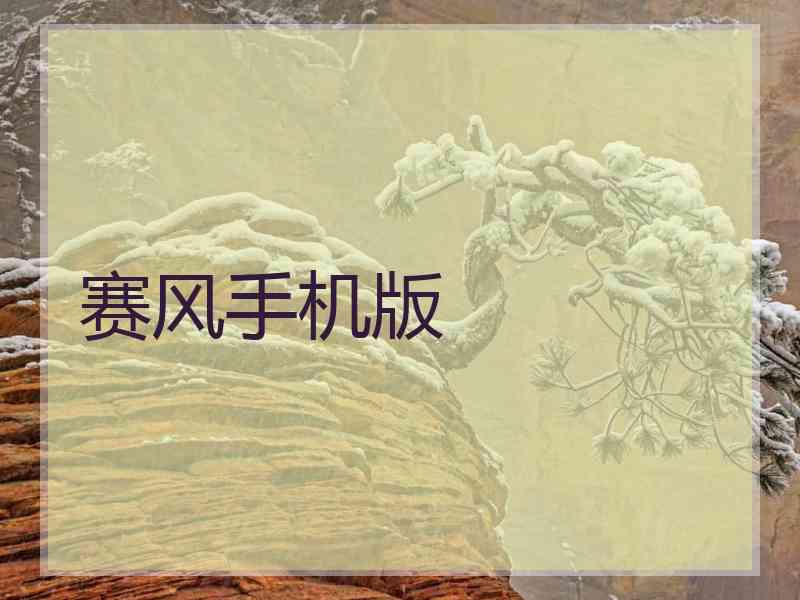 赛风手机版