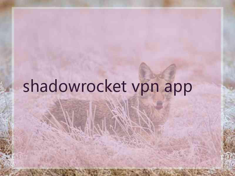 shadowrocket vpn app
