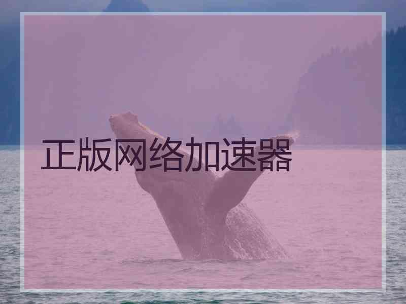 正版网络加速器
