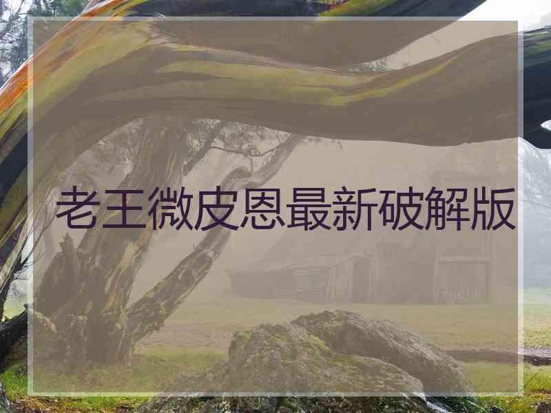 老王微皮恩最新破解版