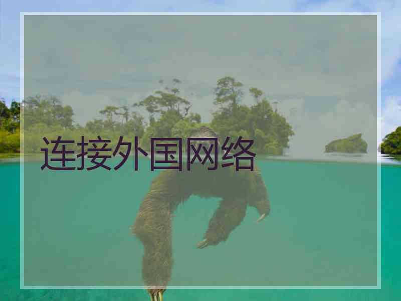 连接外国网络