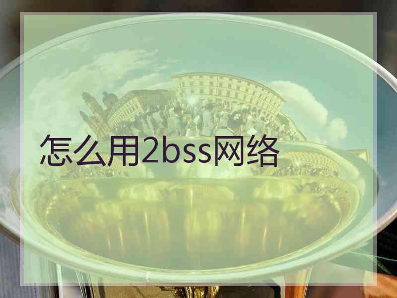 怎么用2bss网络