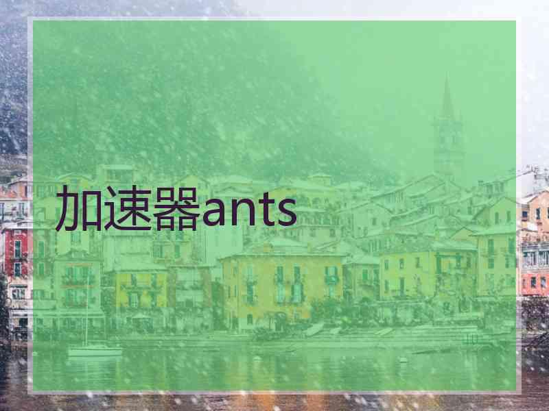 加速器ants