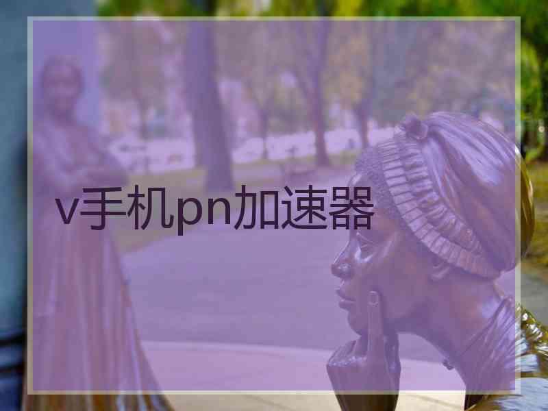 v手机pn加速器