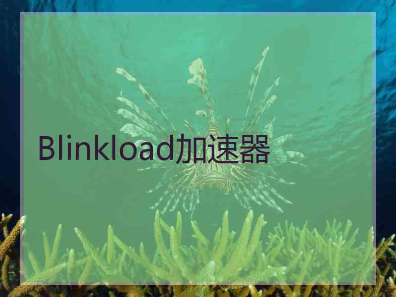 Blinkload加速器