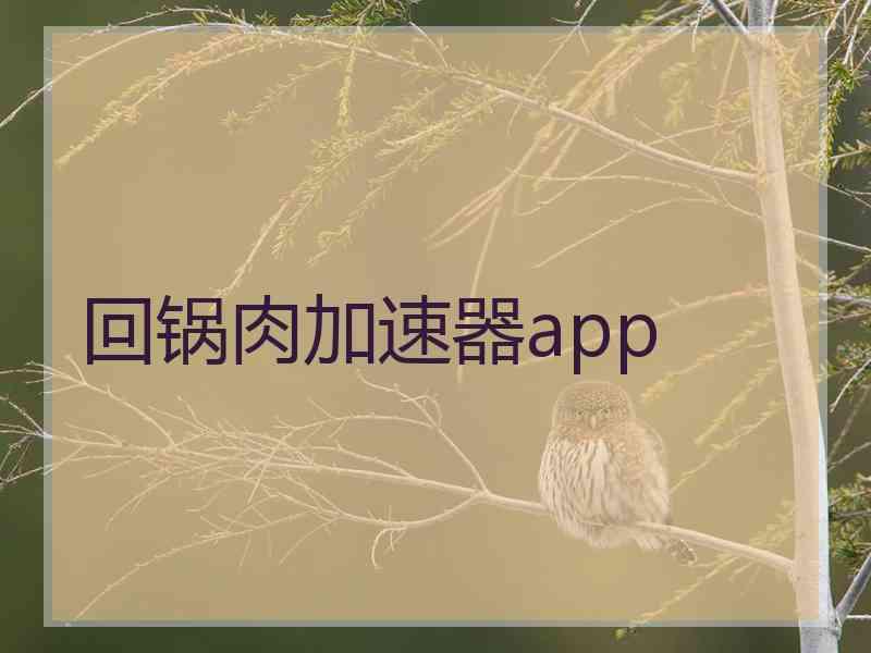 回锅肉加速器app
