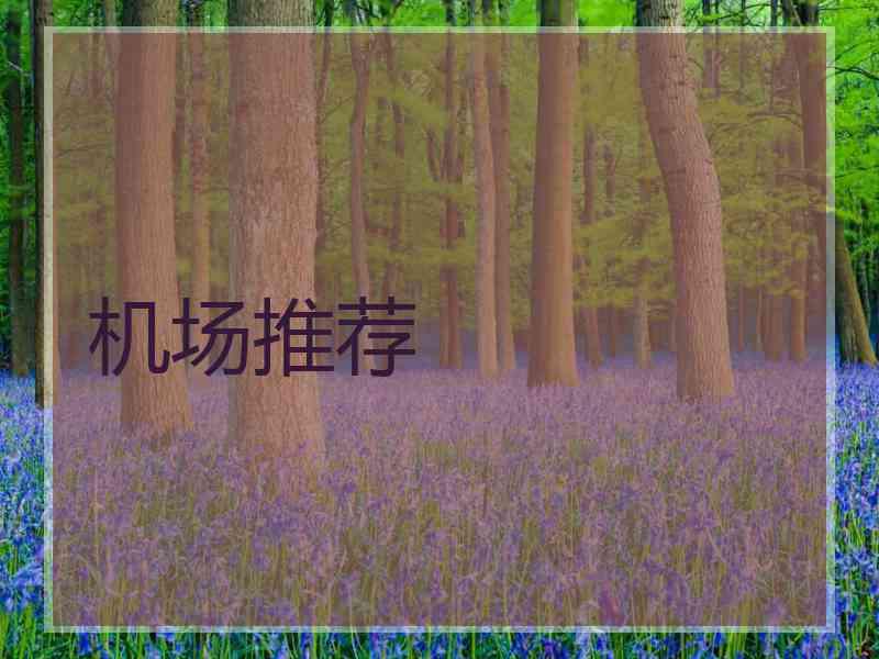 机场推荐
