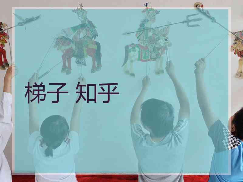 梯子 知乎