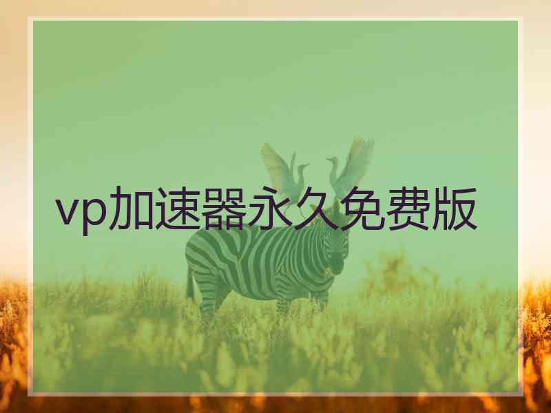 vp加速器永久免费版